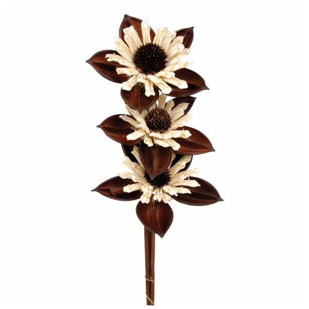 LESENO CVETJE SESTAVLJENO CVETJE NATUR