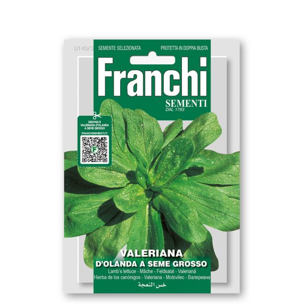 LISTNA ZELENJAVA FRANCHI SEMENTI MOTOVILEC HOLANDSKI