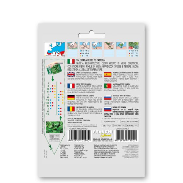 LISTNA ZELENJAVA FRANCHI SEMENTI MOTOVILEC VERTE DE CAMBRAI