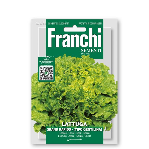 LISTNA ZELENJAVA FRANCHI SEMENTI SOLATA GENTILINA