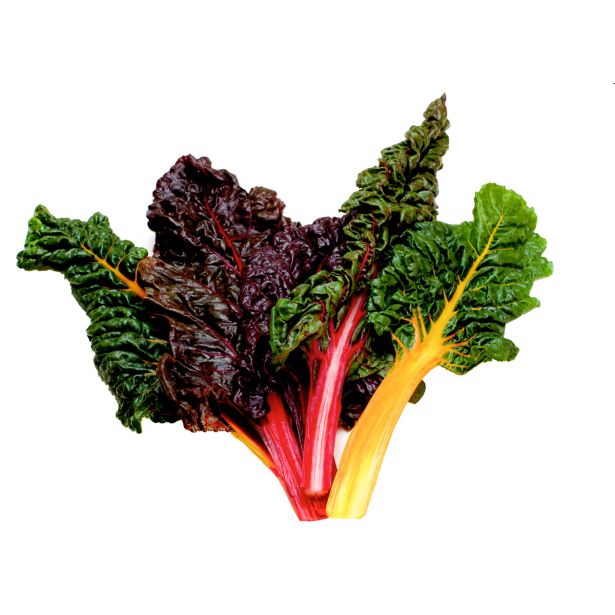 LISTNA ZELENJAVA L'ORTO FRUTTIFERO BLITVA 8/1 BRIG. LIGHTS F1 KUBET