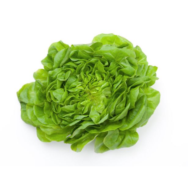 LISTNA ZELENJAVA L'ORTO FRUTTIFERO GLAVNATA SOLATA TEMNA 8/1 DALLAS KUBET