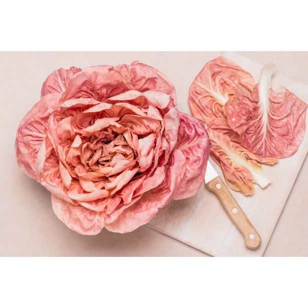 LISTNA ZELENJAVA L'ORTO FRUTTIFERO RDEČI RADIČ 8/1 ROSALBA KUBET