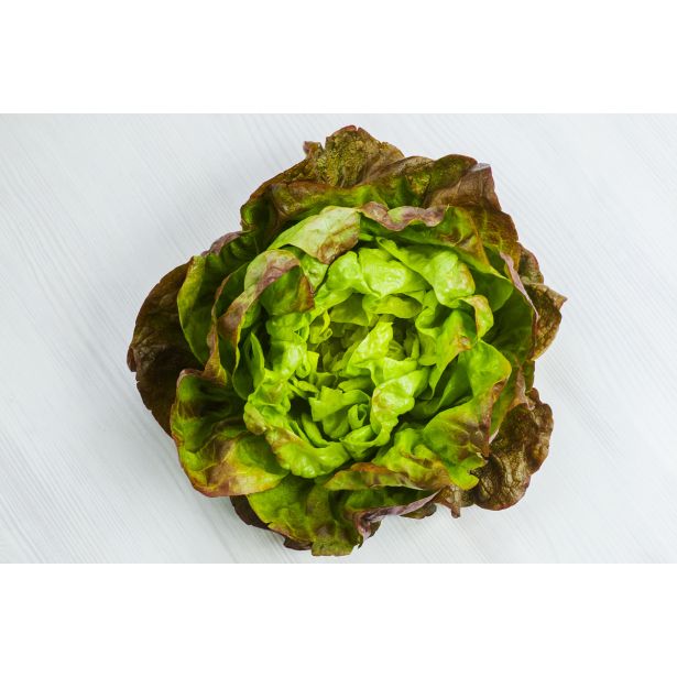 LISTNA ZELENJAVA L'ORTO FRUTTIFERO SOLATA 4 LETNI ČASI 8/1 MATRIOSKA KUBET