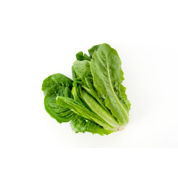 LISTNA ZELENJAVA L'ORTO FRUTTIFERO SOLATA ROMANA TEMNA 8/1 DEGLI ORTOLANI KUBET