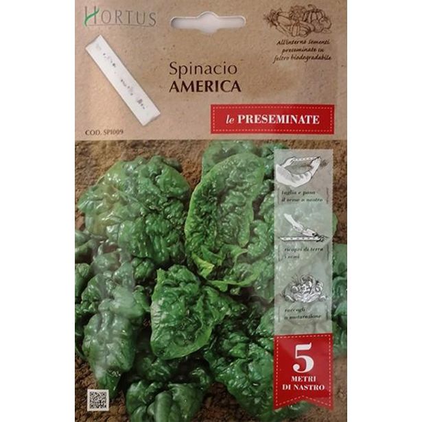 LISTNA ZELENJAVA ROYAL SEMENA SEME NA TRAKU ŠPINAČA