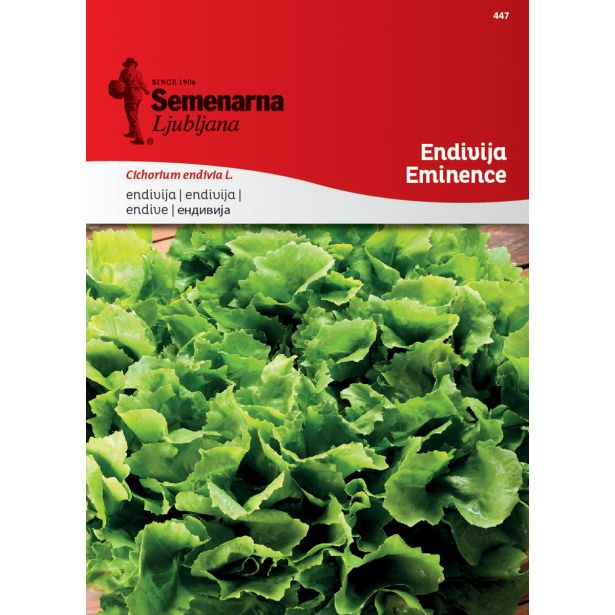 LISTNA ZELENJAVA SEMENARNA ENDIVIJA EMINENCE 447