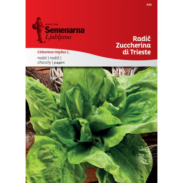 LISTNA ZELENJAVA SEMENARNA RADIČ ZUCCHERINA DI TRIESTE 424