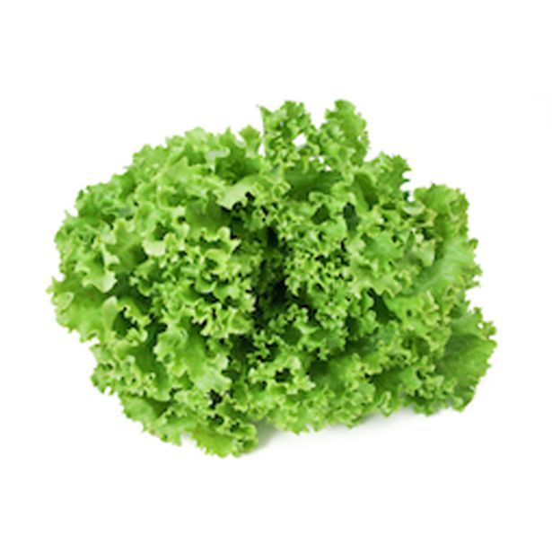 LISTNA ZELENJAVA SOLATA GENTILA 9 KOS