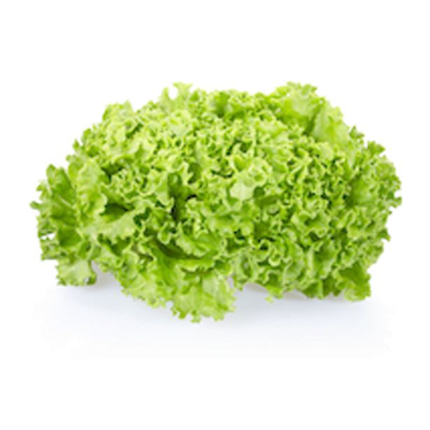 LISTNA ZELENJAVA SOLATA GENTILA 9 KOS