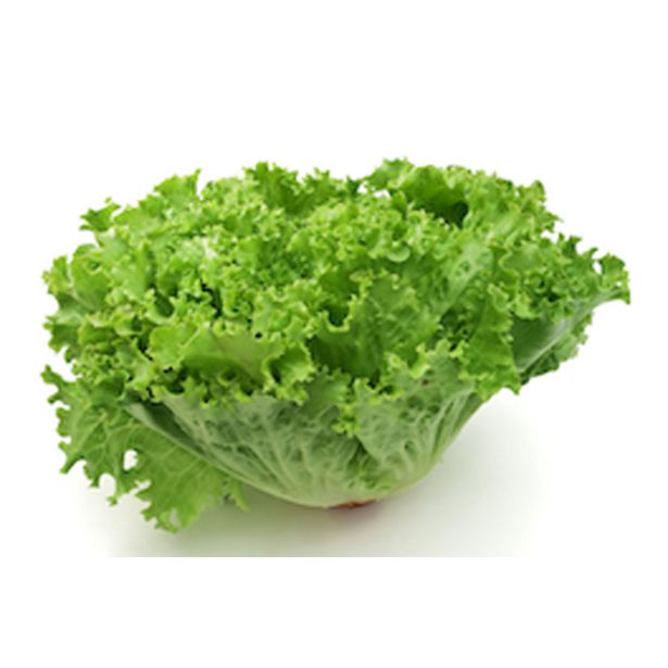 LISTNA ZELENJAVA SOLATA GENTILA 9 KOS