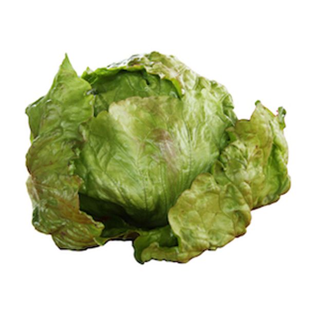 LISTNA ZELENJAVA SOLATA GLAVNATA 9 KOS