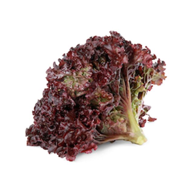 LISTNA ZELENJAVA SOLATA RDEČA 9 KOS