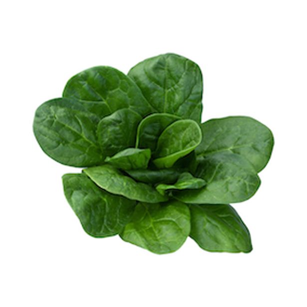 LISTNA ZELENJAVA ŠPINAČA 9 KOS