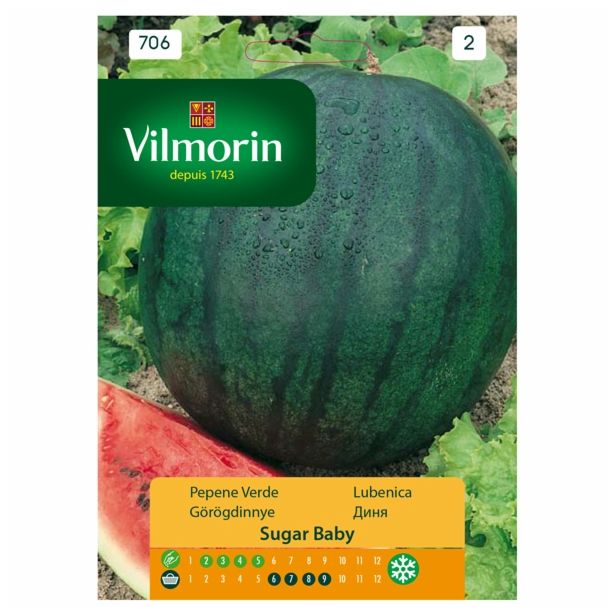PLODOVKA VILMORIN LUBENICA SUGAR BABY