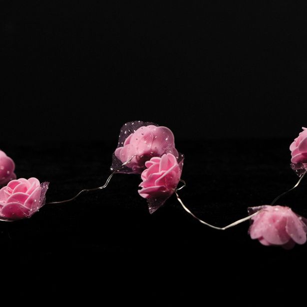 LUČKE MQ 10 LED ROŽICE ROZA TOPLO BELE AA