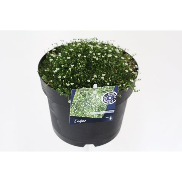 TRAJNICA MAH MIX L12