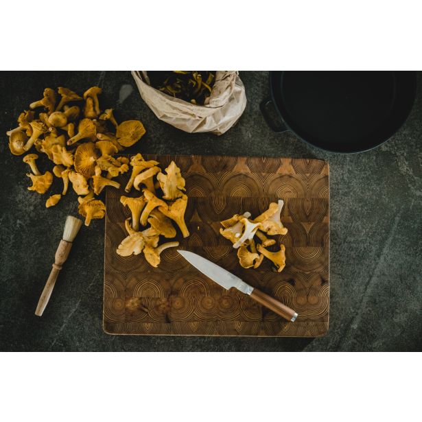 FISKARS MALI KUHARSKI NOŽ NORDEN