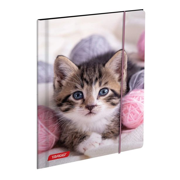 MAPE TARGET Z ELASTIKO A4 ANIMAL BABY 27472