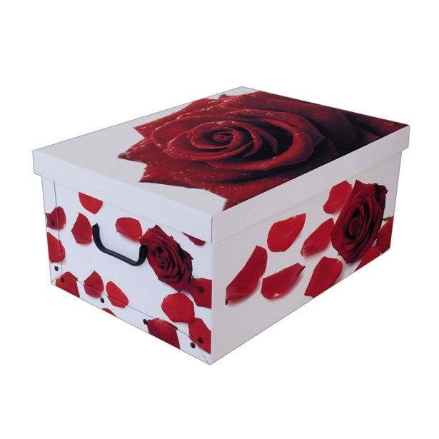 ŠKATLA/ZABOJ MISSSPACE MIDI 37X30X16 CM VRTNICA