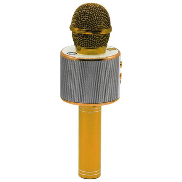 MIKROFON Z ZVOČNIKOM MANTA MIC10 ZLATA