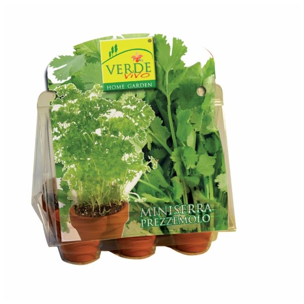 VRTNARSKI PRIPOMOČEK VERDE VIVO MINI RASTLINJAK ZELIŠČA