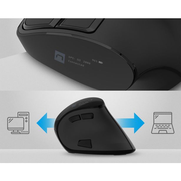 MIŠKA/KAZALNIK NATEC EUPHONIE PRO VERTIKALNA BREZŽIČNA