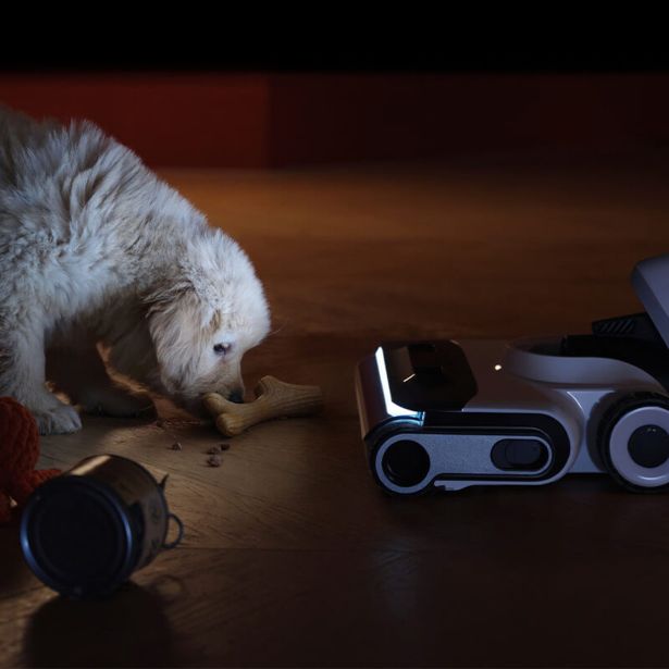 MOKRO-SUHI SESALNIK ROBOROCK FLEXI PRO