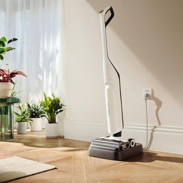 MOKRO-SUHI SESALNIK ROBOROCK FLEXI PRO