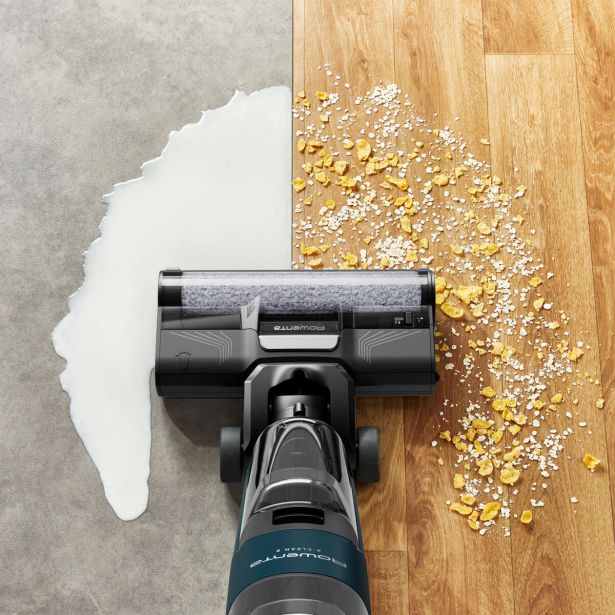 MOKRO-SUHI SESALNIK ROWENTA GZ2251E0