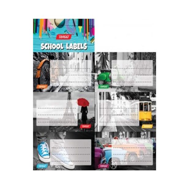 NALEPKE TARGET 6/1 COLOR 27894