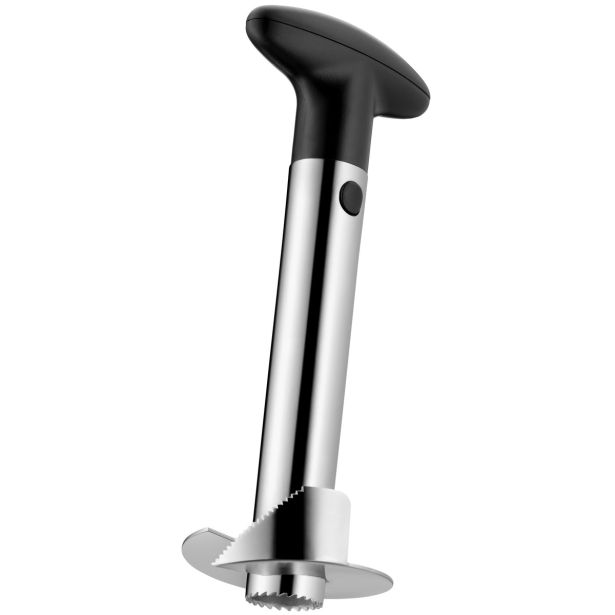 REZILO WMF ZA ANANAS