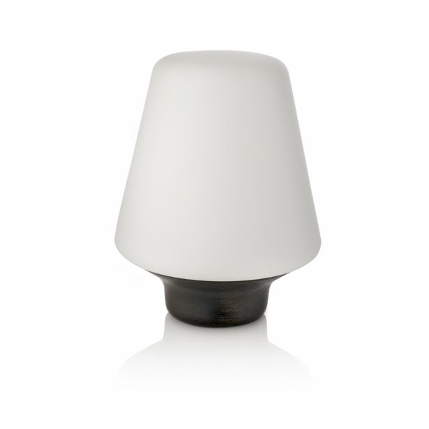 NAMIZNA SVETILKA PHILIPS WELLNESS 1X15W E27 40802/74/16 BUKEV, TEMNA