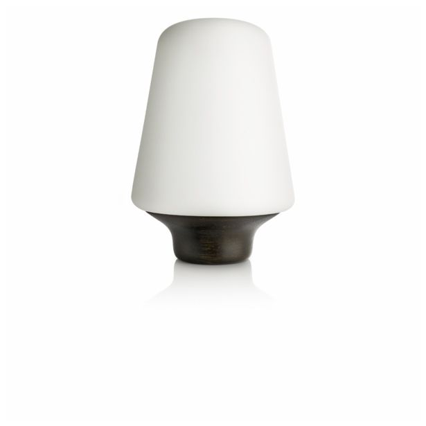 NAMIZNA SVETILKA PHILIPS WELLNESS 1X15W E27 40802/74/16 BUKEV, TEMNA