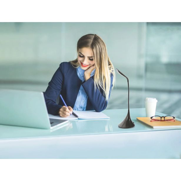 NAMIZNA SVETILKA PLATINET PDL04 ČRNA