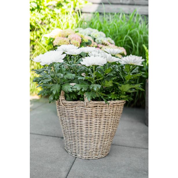 PE ZUNANJI LONEC KOŠEK NANNA NATUR 36 V40 CM