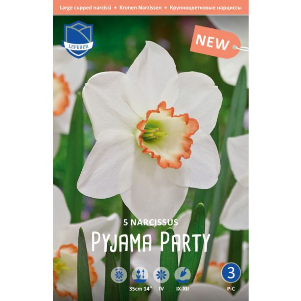 NARCISE PYJAMA PARTY