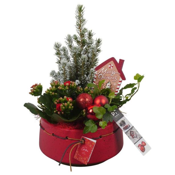 NASAD ZIMSKI NOTRANJI PTCHR7206 L17 CM