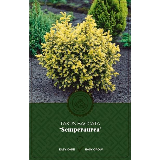 IGLAVEC NAVADNA TISA SEMPERAUREA L17