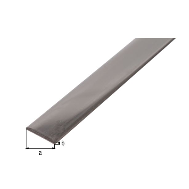 PLOSKA PALICA ALBERTS NERJAVNA, 25X2X1000 MM