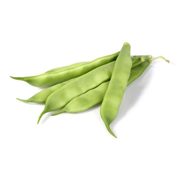 STROČNICE L'ORTO FRUTTIFERO NIZEK FIŽOL 6/1 MARCONI KULTIPAK