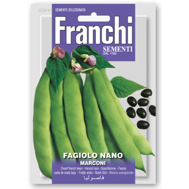 STROČNICA FRANCHI SEMENTI NIZEK FIŽOL MARCONI