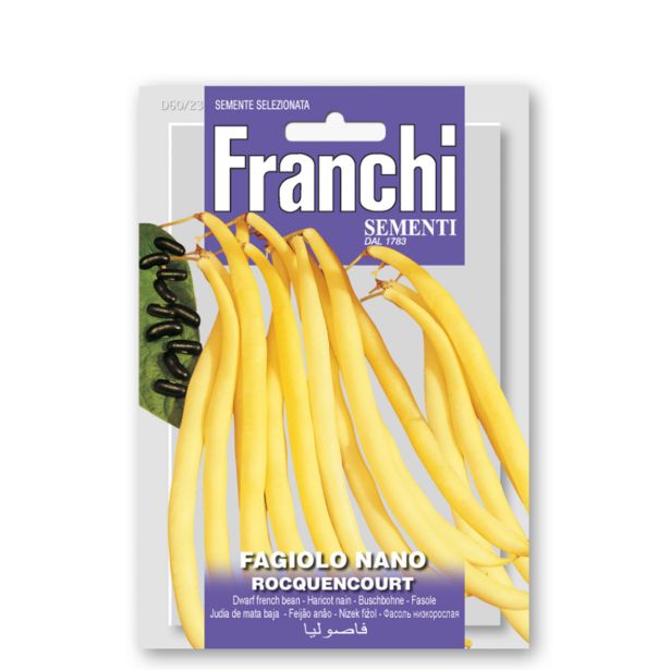 STROČNICA FRANCHI SEMENTI NIZEK FIŽOL ROCQUENCOURT