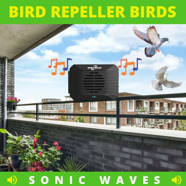 ODGANJALEC ŽIVALI WEITECH ZVOČNI ODGANJALEC GOLOBOV SONIC 20-40 M2