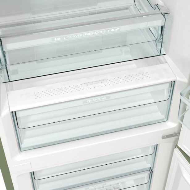 HLADILNIK IN ZAMRZOVALNIK GORENJE ONRK619DOL