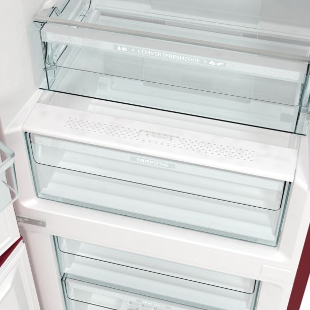 HLADILNIK IN ZAMRZOVALNIK GORENJE ONRK619ER-L