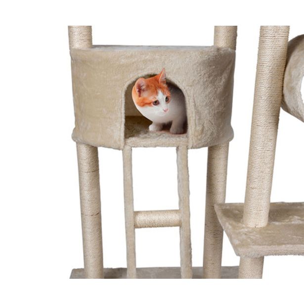 OPREMA ZA MAČKE PET TOYS DREVO IN PRASKALNIK BEŽ