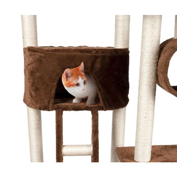 OPREMA ZA MAČKE PET TOYS DREVO IN PRASKALNIK RJAVA