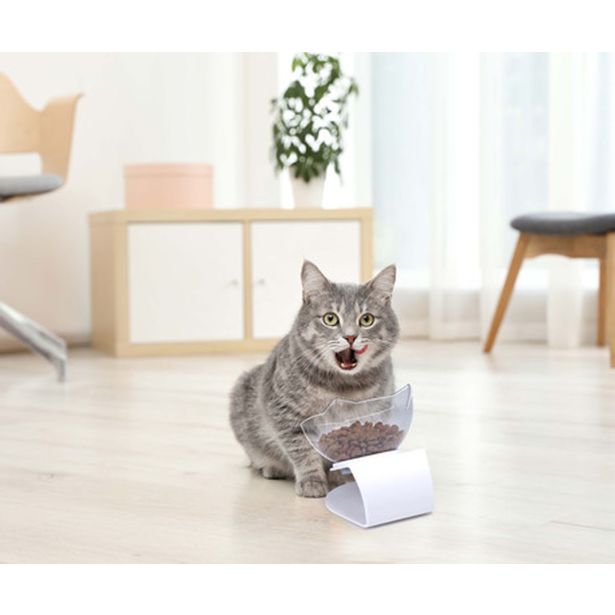 OPREMA ZA MAČKE PET TREATMENT POSODA S STOJALOM 350 ML