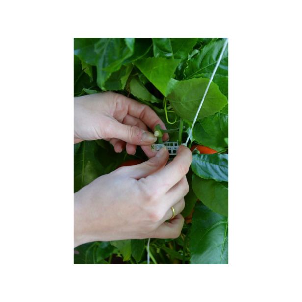 DODATNI SISTEM ZA PODPORO RASTLIN PALRAM ZA RASTLINJAK